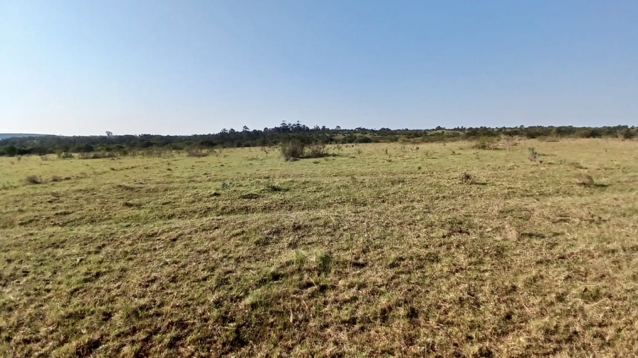 Commercial Property for Sale in Bathurst Eastern Cape